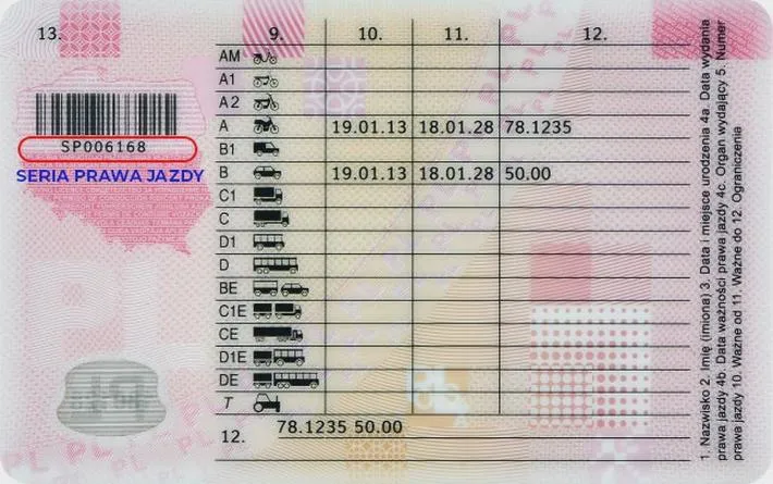 Jak sprawdzić status prawa jazdy
