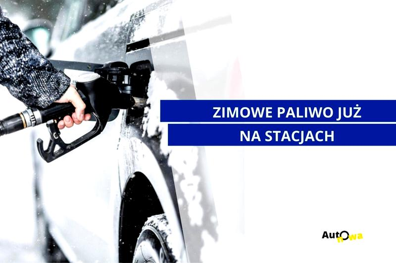 Paliwo zimowe i przejściowe